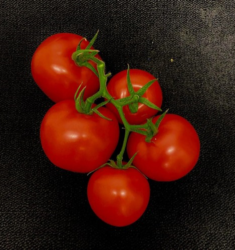 Tomato Vine 500g